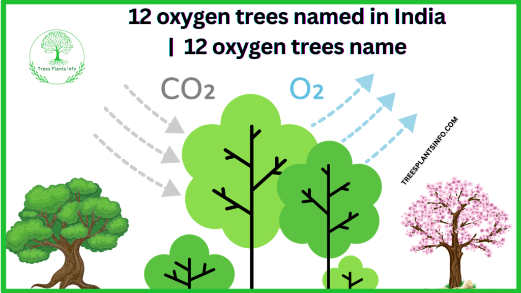 12 oxygen trees named in India |12 oxygen trees name