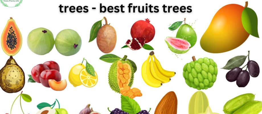 20 best low-maintenance fruit trees - best fruits trees