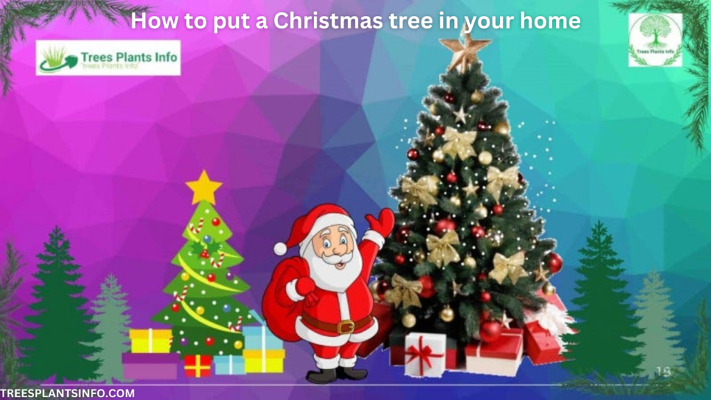 How to put a Christmas tree in your home