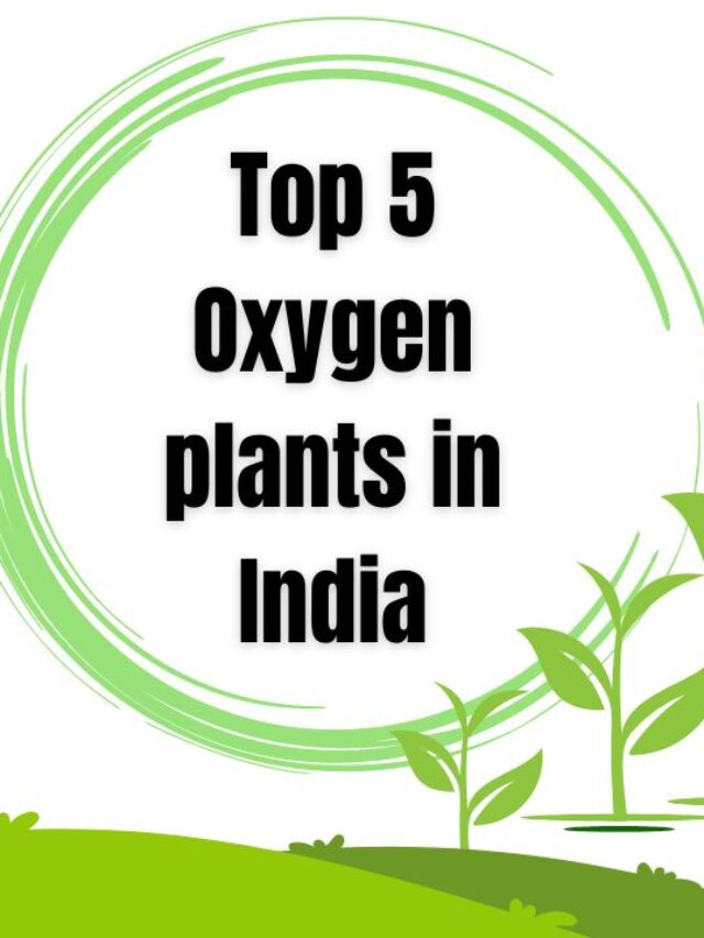 Top 5 Oxygen plants in India – Top 5 Oxygen pants