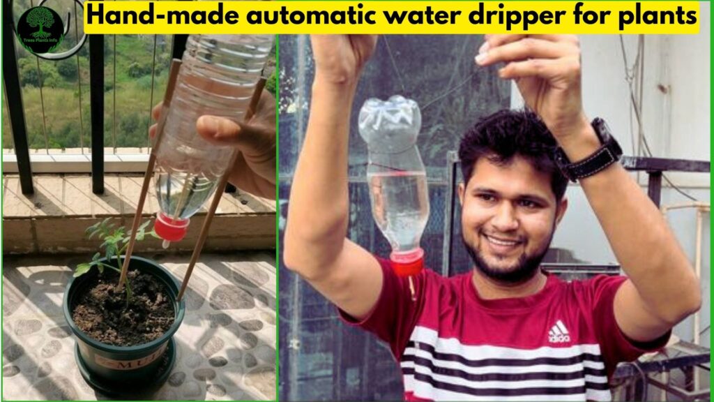 Hand-made automatic water dripper