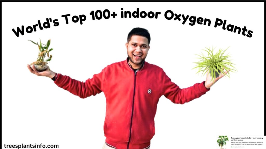 World's Top 100+indoor Oxygen Plants