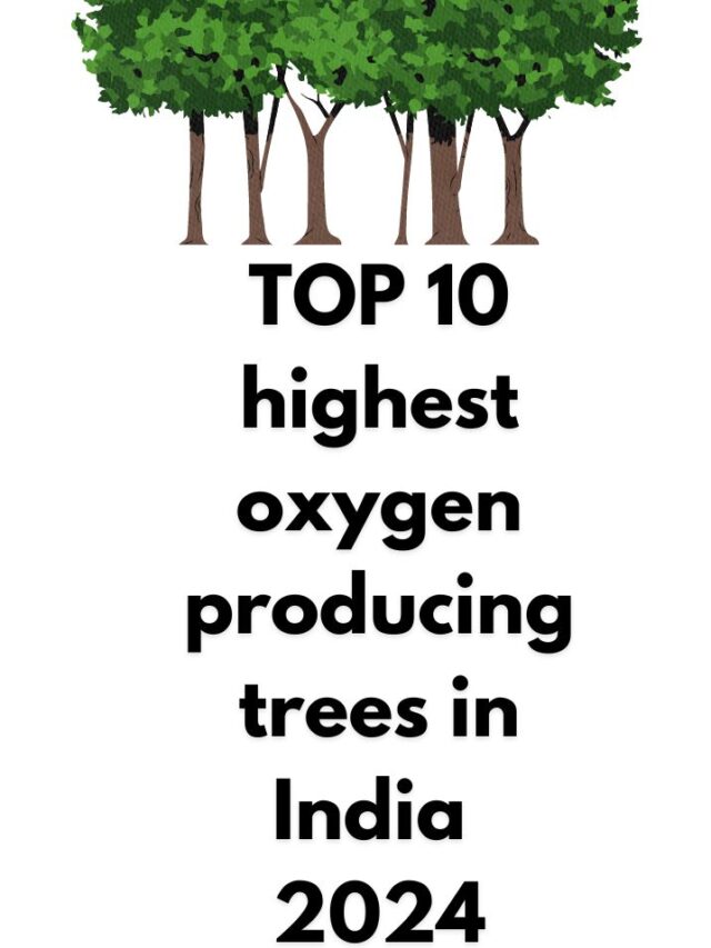 TOP 10 highest oxygen producing trees in India 2024