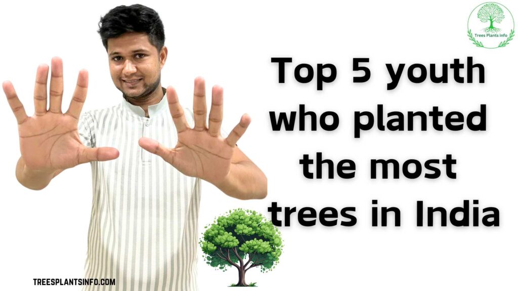 Top 5 youth who planted the most trees in India