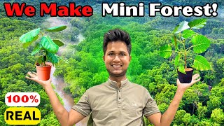 🌳 How I Created a Mini Forest in 3 Years | A Step Toward a Greener India 🇮🇳