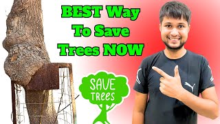 best way to save trees, ways to save trees, how can we save trees, how to save trees from dying, how to save a tree, best way to protect fruit trees from birds, how can we save the trees, how to save the trees, how to save trees 10 points, how to save trees drawing, how to save trees essay, best way to protect trees from deer, how to save trees from cutting, how to save trees from ants, best way to get rid of trees fs22, fastest way to get rid of trees fs22, how to save trees paragraph, how to save trees poster, how to save trees speech, how to save a dead tree, why should we save trees, safe way to cut down a tree, why we should save trees, 5 ways to save environment, ways to cut down a tree,