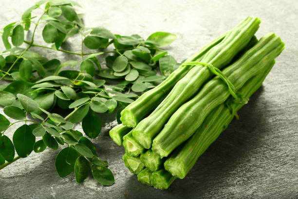 Plant a Drumstick (Moringa) Tree