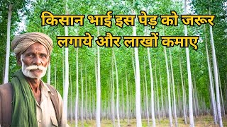 Discovering the Eucalyptus Tree: Cultivation, Care, and Environmental Impact