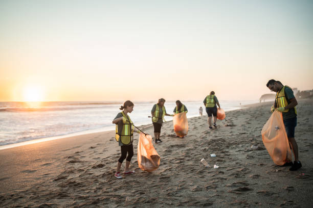 beach cleaning picture