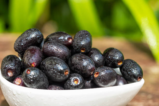 Plant a Jamun Tree